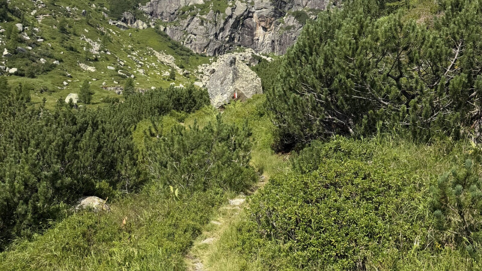 Il sentiero che risale il vallone della Val Vendrame anello forcella segura 20260719 - 10_verso la parte alta della Val Vendrame